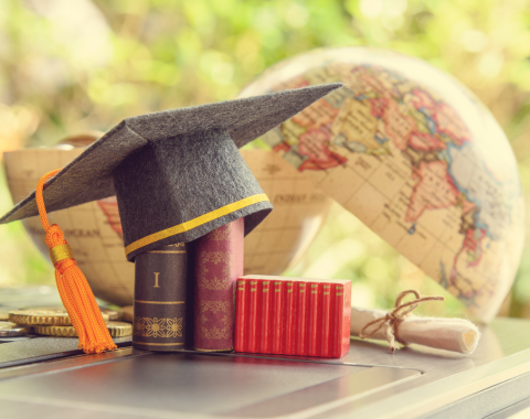 study abroad